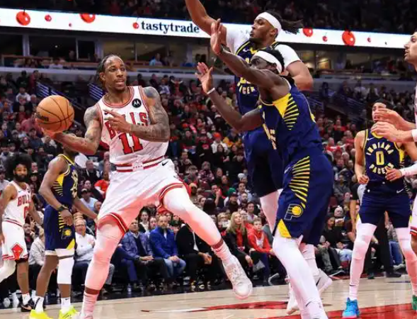 公牛：在传承与革新中踏浪前行