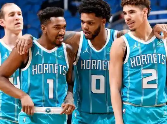 黄蜂振翅：从低谷到逆袭的蜕变之路