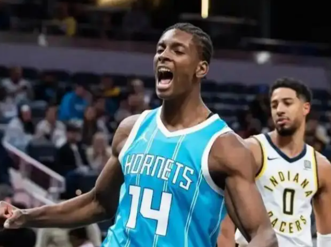 黄蜂振翅：在逆境中寻找破局之光