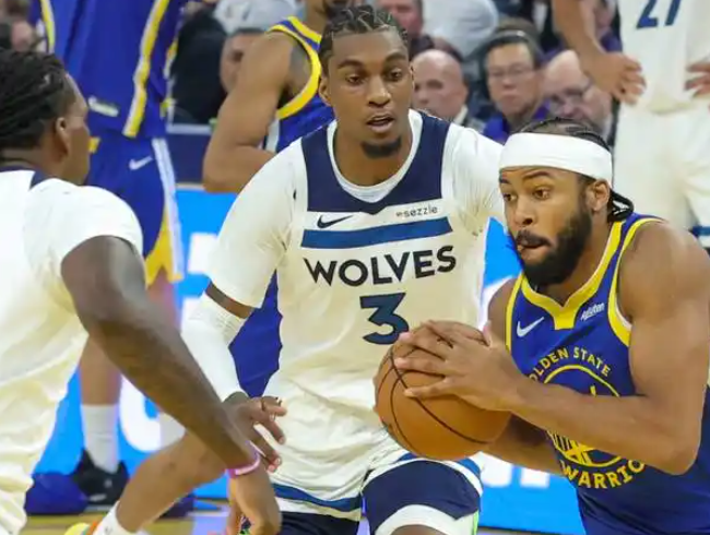 森林狼：逆境中崛起的西北狼