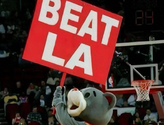 公牛：在逆境中探寻崛起曙光