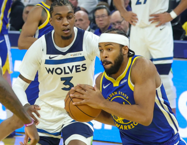 森林狼：逆境中崛起的北境之狼