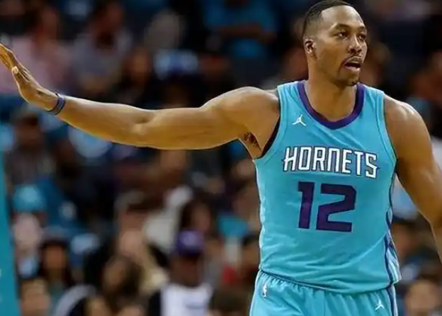 黄蜂：逆境中探寻破晓之光