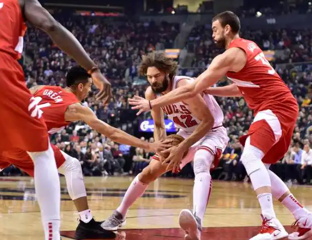 猛龙：逆袭与坚韧交织的赛场征程