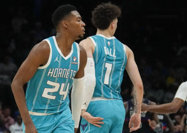 黄蜂：逆境中绽放的“蜂群”之光