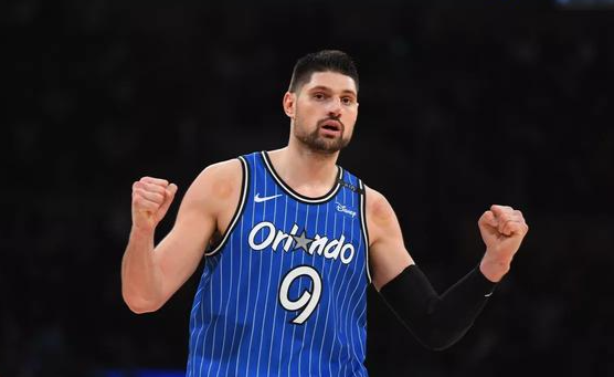 骑士：逆境中绽放的坚韧之花