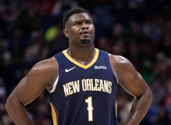 鹈鹕：逆境中挣扎的漫漫征途