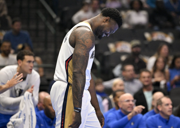 鹈鹕逆袭：在困境中寻找曙光