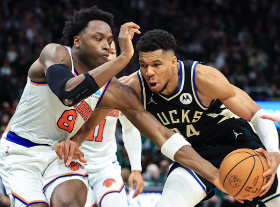 尼克斯：逆袭与狂胜交织的热血征程