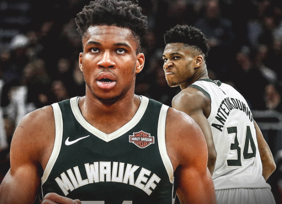 雄鹿：从巅峰跌落，在动荡中探寻重生之路