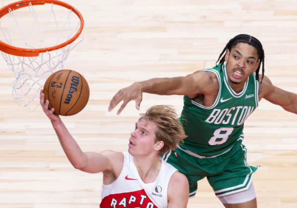 猛龙：逆境中探寻崛起之路