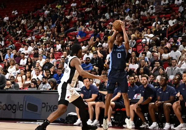 灰熊：逆境中绽放的坚韧之花