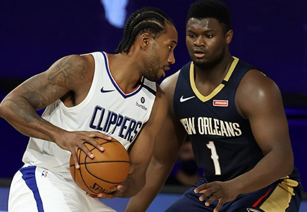 鹈鹕：逆境中展翅，低谷中寻光