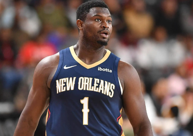 鹈鹕：逆境中振翅的青春风暴