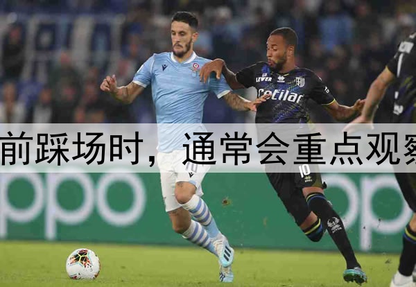 世界杯球队在赛前踩场时，通常会重点观察哪些场地细节？