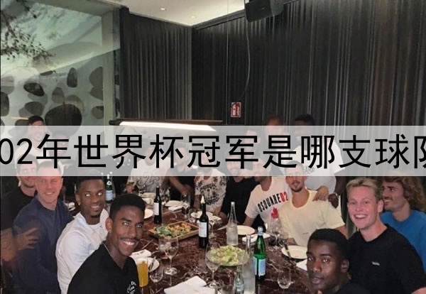 2002年世界杯冠军是哪支球队？
