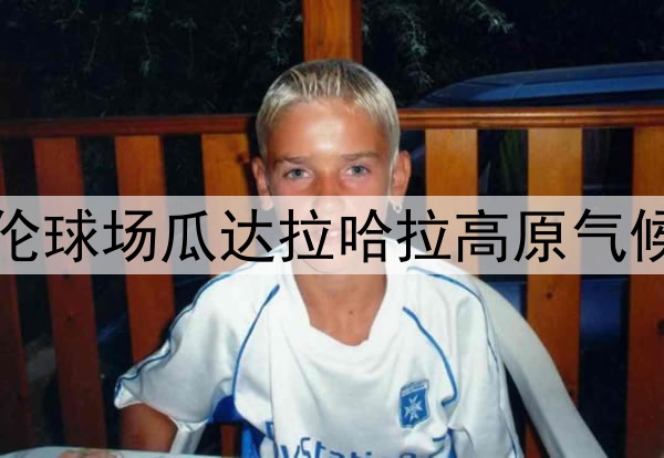 2026年世界杯：阿克伦球场瓜达拉哈拉高原气候的适应方案深度解析